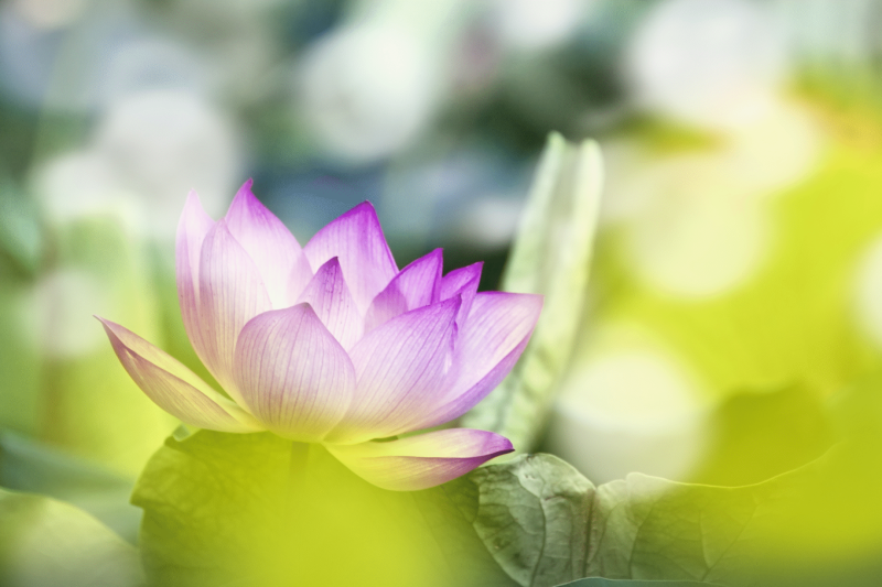 Blog Banner for Website Content (2)